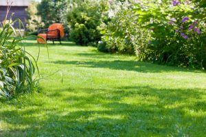 travaux jardin et paysage Castelnau-Montratier